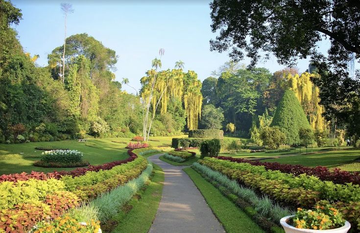 Royal Botanical Gardens, Peradeniya, Kandy