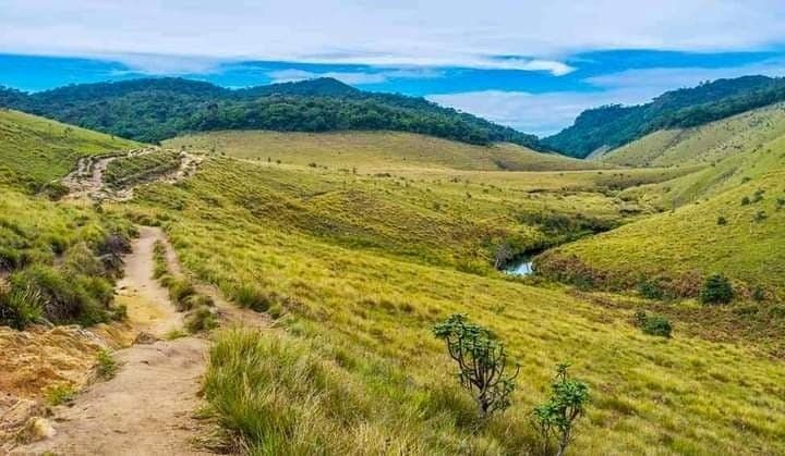 Horton Plains & World's End, Nuwara Eliya